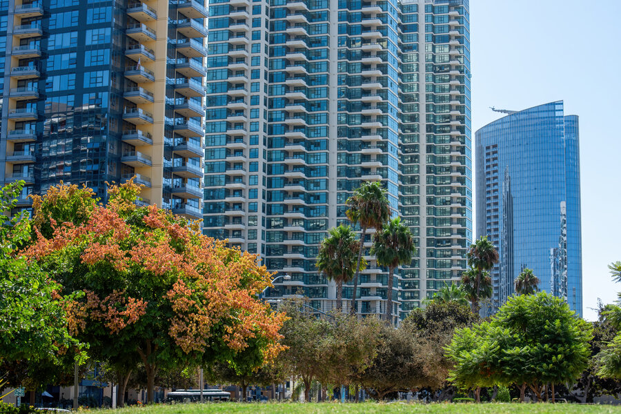 High apartment buildings with modern design, greenery on the foreground, sunny day in San Diego, USA